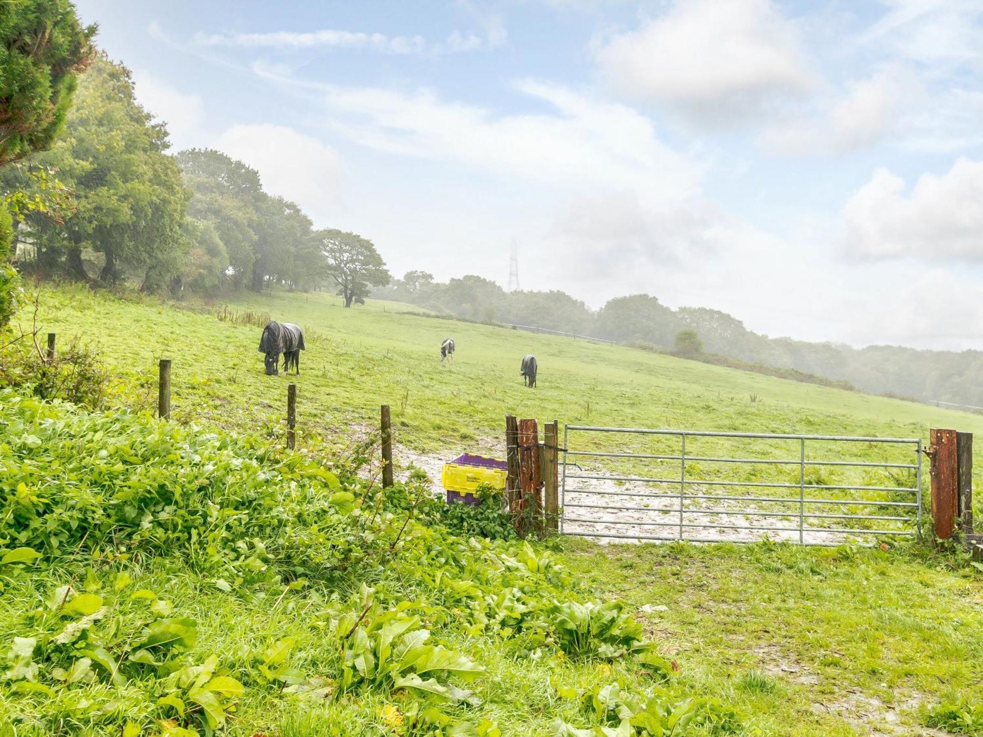 Сasa de vacaciones The Barn-uk32860 Alltwen